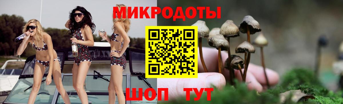 Галлюциногенные грибы Psilocybe  наркотики  Вход с VPN  Мурманск  Псилоцибиновые грибы мицелий 